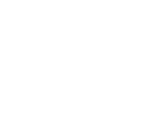 CARNIVORE---WEBSITE